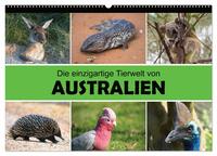 Die einzigartige Tierwelt von Australien (Wandkalender 2025 DIN A2 quer), CALVENDO Monatskalender