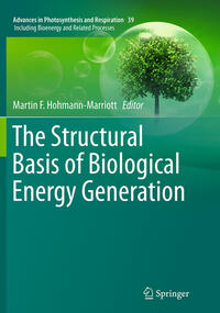 The Structural Basis of Biological Energy Generation