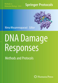 DNA Damage Responses