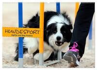 HUNDESPORT - Agility und Dog Frisbee (Wandkalender 2025 DIN A2 quer), CALVENDO Monatskalender