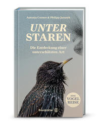 Unter Staren