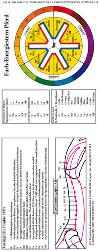 Farb-Energiestern Pferd