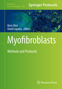 Myofibroblasts