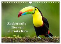 Zauberhaft Tierwelt in Costa Rica (Wandkalender 2025 DIN A4 quer), CALVENDO Monatskalender