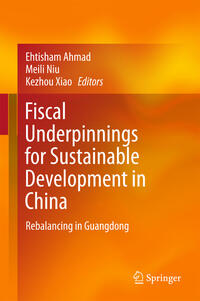 Fiscal Underpinnings for Sustainable Development in China