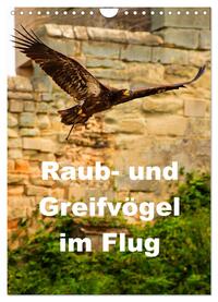 Raub- und Greifvögel im Flug (Wandkalender 2025 DIN A4 hoch), CALVENDO Monatskalender