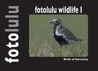 fotolulu wildlife I