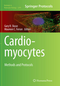 Cardiomyocytes