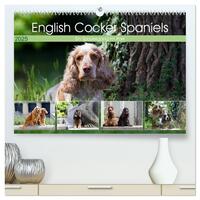 English Cocker Spaniels - Ein Spaziergang im Park (hochwertiger Premium Wandkalender 2025 DIN A2 quer), Kunstdruck in Hochglanz