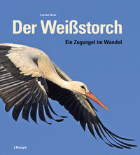 Der Weißstorch