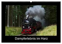 Dampferlebnis im Harz (Wandkalender 2025 DIN A2 quer), CALVENDO Monatskalender