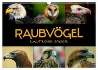 Raubvögel - lautlose Jäger (Wandkalender 2025 DIN A3 quer), CALVENDO Monatskalender