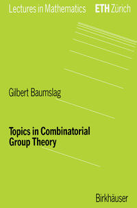 Topics in Combinatorial Group Theory