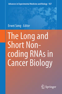 The Long and Short Non-coding RNAs in Cancer Biology