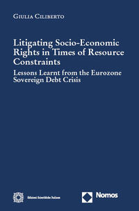 Litigating Socio-Economic Rights in Times of Resource Constraints