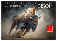 Amerikanischer Bison (Tischkalender 2025 DIN A5 quer), CALVENDO Monatskalender