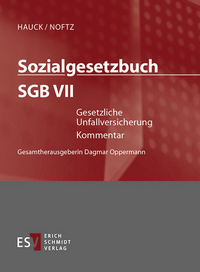 Sozialgesetzbuch (SGB). Kommentar / Sozialgesetzbuch (SGB) VII: Gesetzliche Unfallversicherung - Einzelbezug