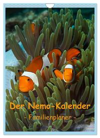 Der Nemo-Kalender (Wandkalender 2025 DIN A4 hoch), CALVENDO Monatskalender