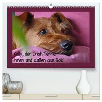 Kelly, der Irish Terrier - innen und außen aus Gold (hochwertiger Premium Wandkalender 2025 DIN A2 quer), Kunstdruck in Hochglanz