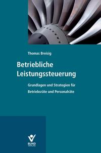 Betriebliche Leistungssteuerung