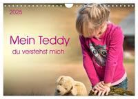 Mein Teddy - du verstehst mich (Wandkalender 2025 DIN A4 quer), CALVENDO Monatskalender