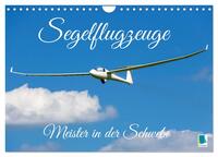 Meister in der Schwebe: Segelflugzeuge (Wandkalender 2025 DIN A4 quer), CALVENDO Monatskalender