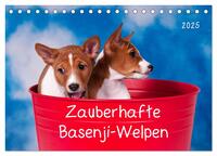 Zauberhafte Basenji-Welpen (Tischkalender 2025 DIN A5 quer), CALVENDO Monatskalender