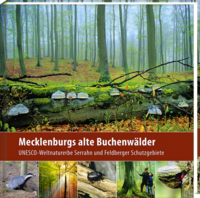 Mecklenburgs alte Buchenwälder