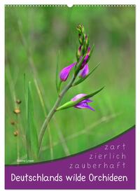 Deutschlands wilde Orchideen (Wandkalender 2025 DIN A2 hoch), CALVENDO Monatskalender