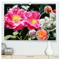 Rosensommer (hochwertiger Premium Wandkalender 2025 DIN A2 quer), Kunstdruck in Hochglanz