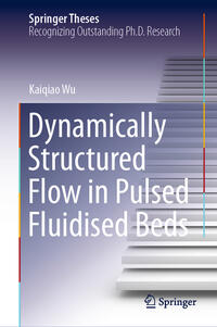 Dynamically Structured Flow in Pulsed Fluidised Beds