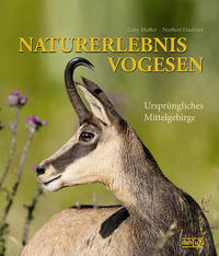 NATURERLEBNIS VOGESEN