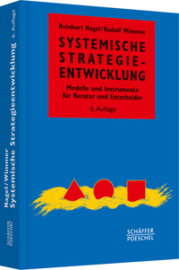 Systemische Strategieentwicklung