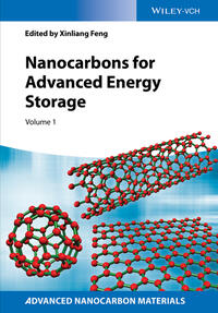 Nanocarbons for Advanced Energy Storage