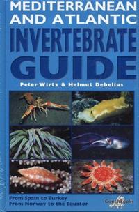 Mediterranean and Atlantic invertebrate guide