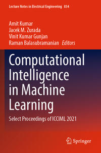 Computational Intelligence in Machine Learning