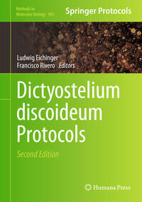 Dictyostelium discoideum Protocols