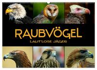 Raubvögel - lautlose Jäger (Wandkalender 2025 DIN A2 quer), CALVENDO Monatskalender