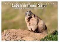 Leben in freier Natur - Wildtiere in natürlicher Umgebung (Tischkalender 2025 DIN A5 quer), CALVENDO Monatskalender