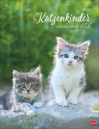 Katzenkinder Posterkalender 2026