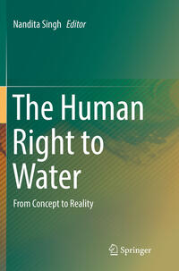 The Human Right to Water