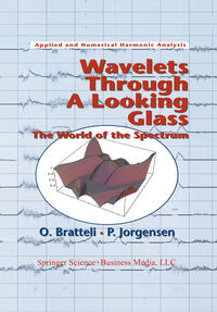 Wavelets Through a Looking Glass