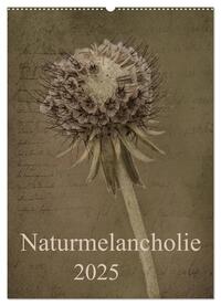 Naturmelancholie 2025 (Wandkalender 2025 DIN A2 hoch), CALVENDO Monatskalender