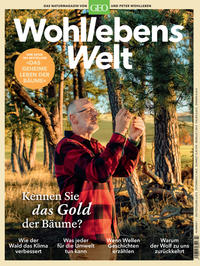 Wohllebens Welt / Wohllebens Welt 7/2020 - Kennen Sie das Gold der Bäume?