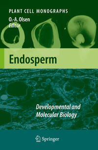 Endosperm