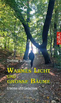 Warmes Licht und große Bäume