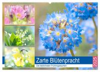 Zarte Blütenpracht. Die lieblichsten Frühlingsblumen (Wandkalender 2025 DIN A2 quer), CALVENDO Monatskalender