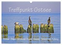 Treffpunkt Ostsee (Wandkalender 2025 DIN A3 quer), CALVENDO Monatskalender