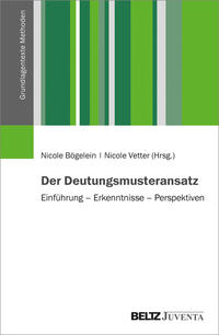 Der Deutungsmusteransatz