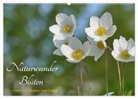 Naturwunder Blüten (Wandkalender 2025 DIN A2 quer), CALVENDO Monatskalender